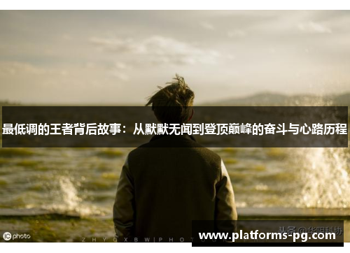 最低调的王者背后故事：从默默无闻到登顶巅峰的奋斗与心路历程