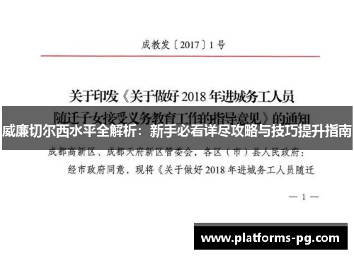 威廉切尔西水平全解析：新手必看详尽攻略与技巧提升指南