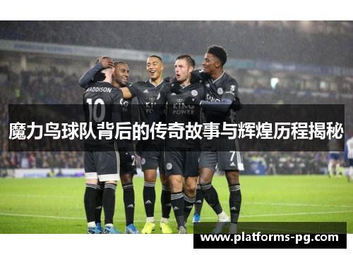 魔力鸟球队背后的传奇故事与辉煌历程揭秘 魔力鸟球队背后的传奇故事与辉煌历程揭秘