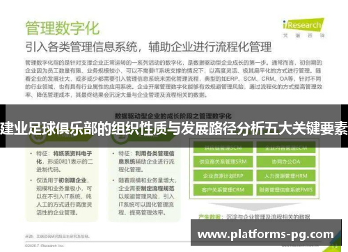 建业足球俱乐部的组织性质与发展路径分析五大关键要素