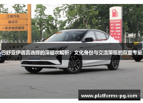 巴舒亚伊语言选择的深层次解析：文化身份与交流策略的双重考量