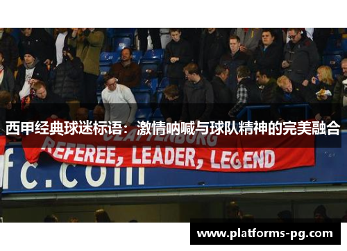 西甲经典球迷标语:激情呐喊与球队精神的完美融合 西甲经典球迷标语:激情呐喊与球队精神的完美融合