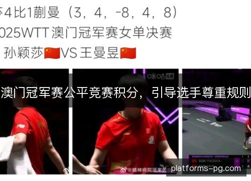 澳门冠军赛公平竞赛积分，引导选手尊重规则